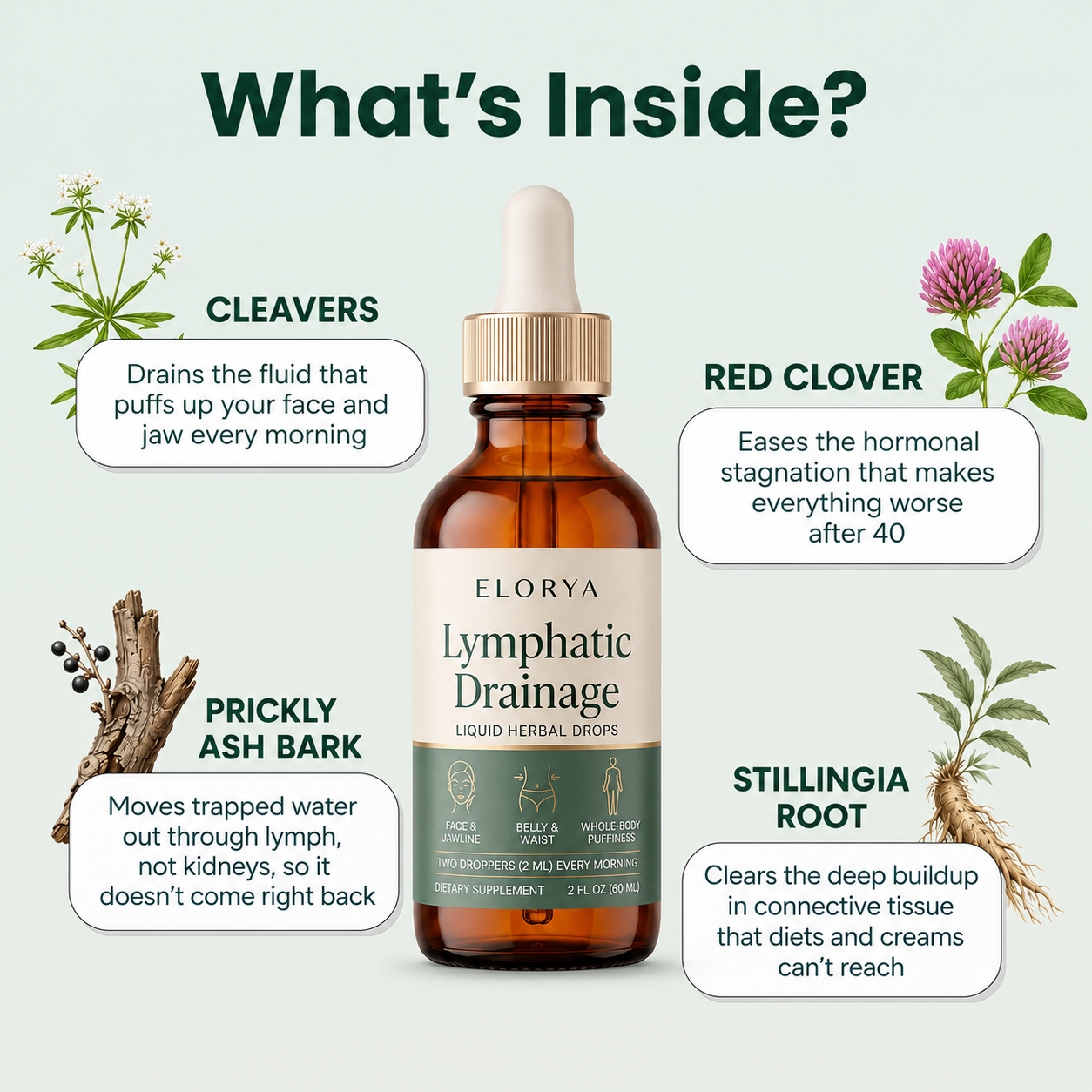 Lymphatic Drainage