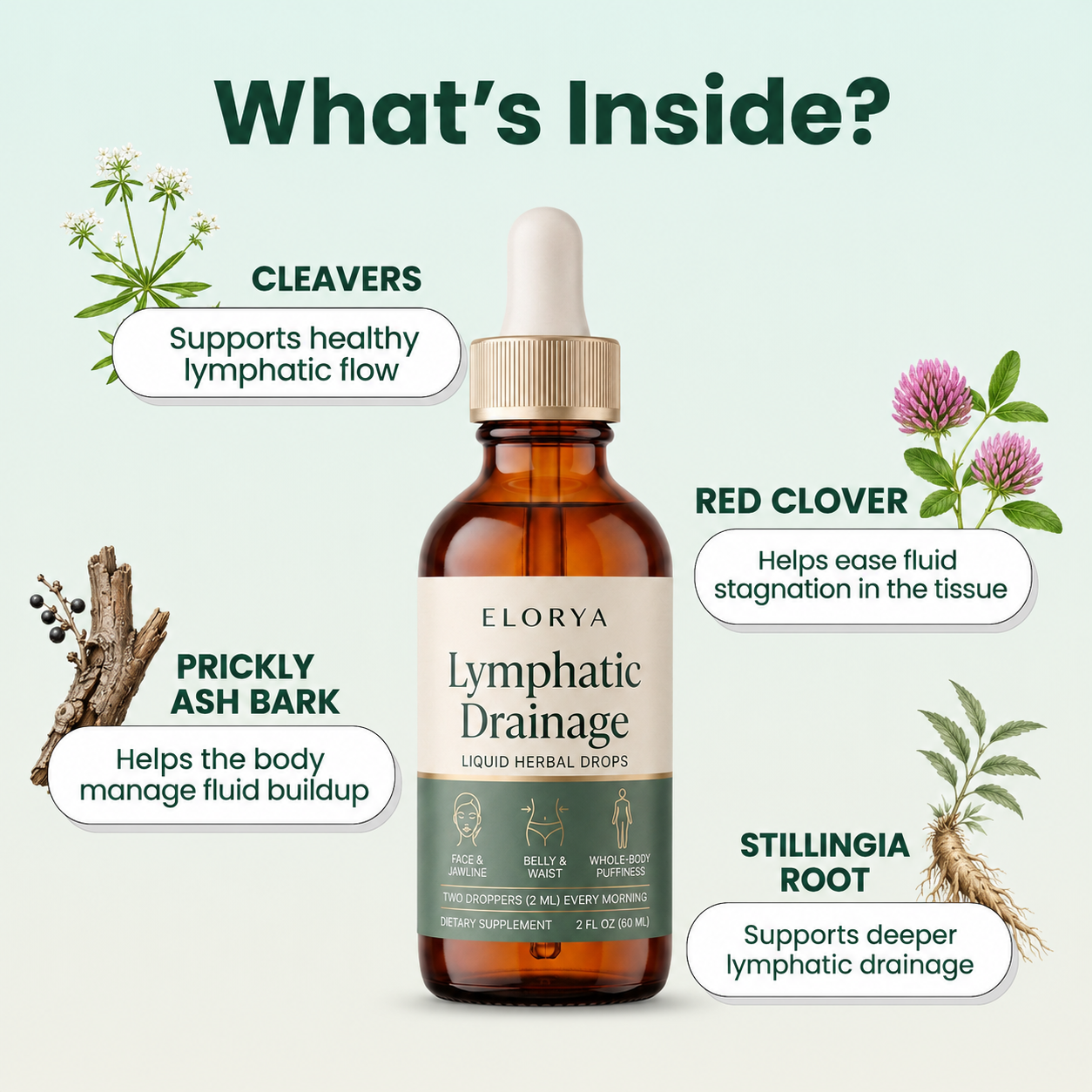 Lymphatic Drainage